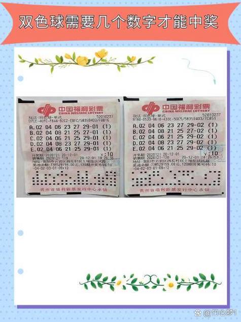 上海福利彩票开奖查询