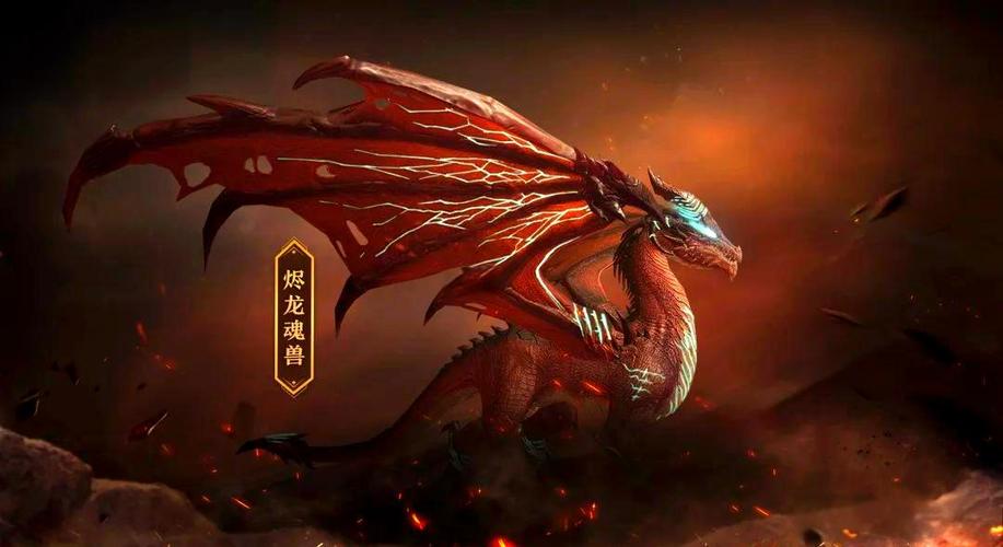 什么时候知道小舞是魂兽