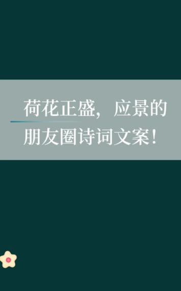 荷花图片文案截图2