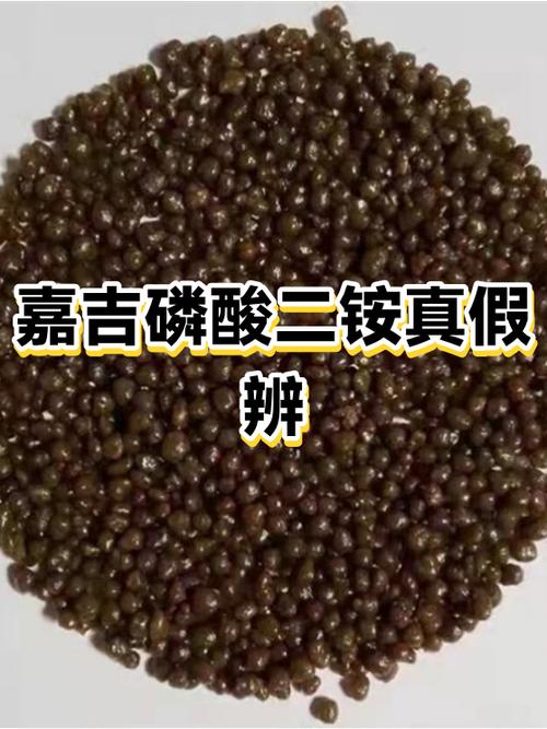 正宗和正品的区别 正宗和正品的区别