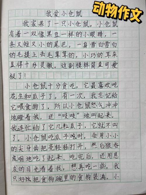 300作文免费可抄