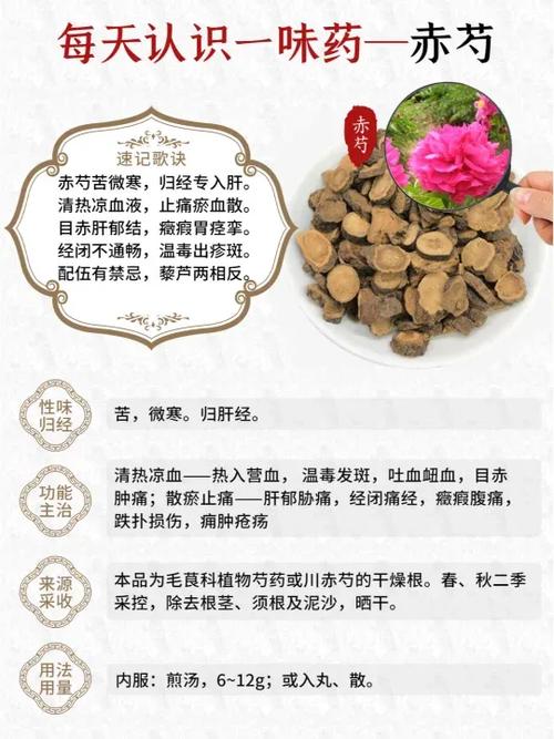 赤芍的药效
