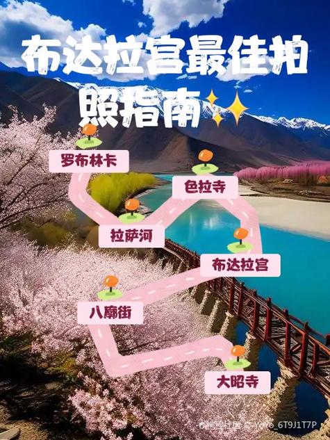 单反相机按哪个键拍照