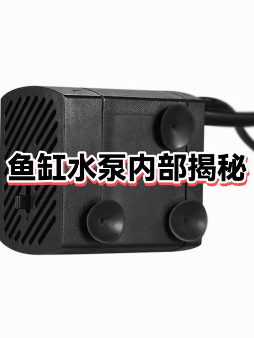 小鱼缸用大流量水泵的后果
