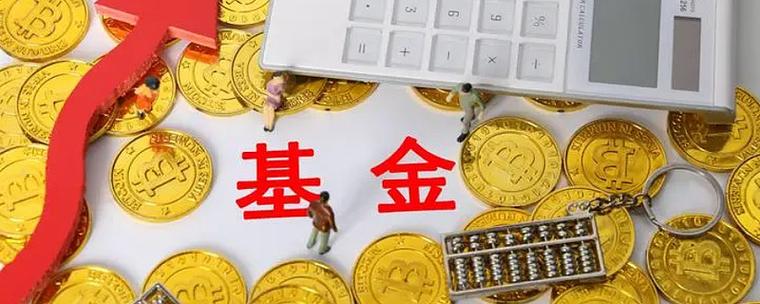 量化对冲基金一般投资什么