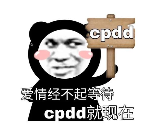 cpdd是什么意思回复dd是什么意思