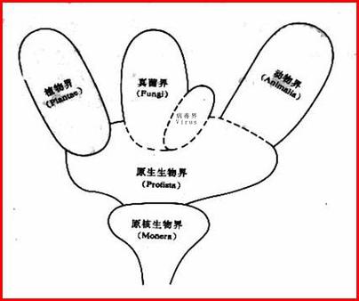 三到六界是指什么截图2