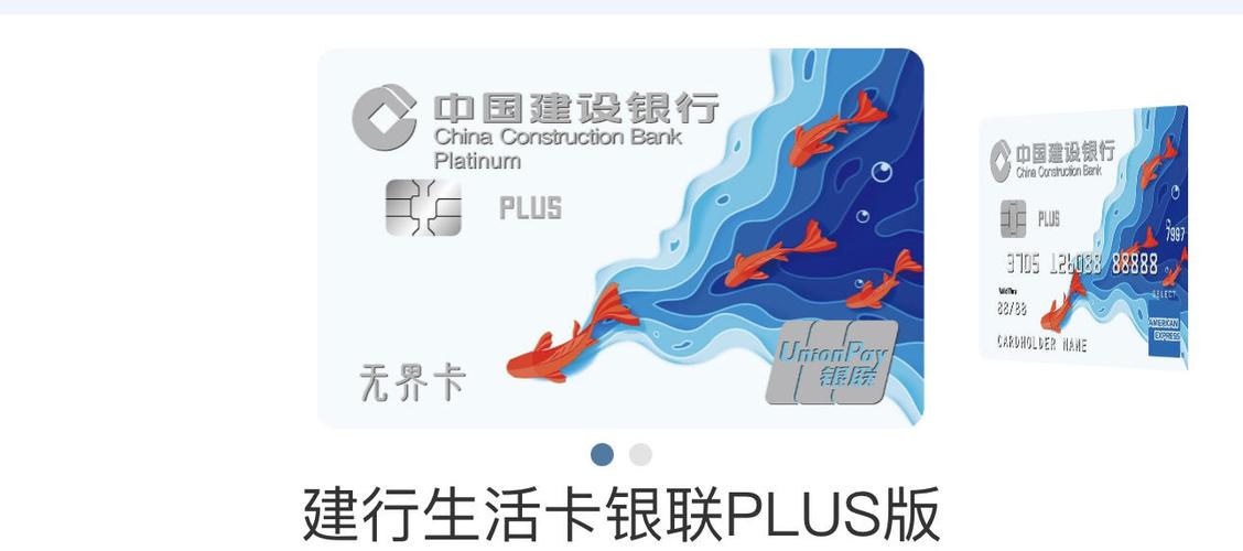 建行生活只能用建行卡吗
