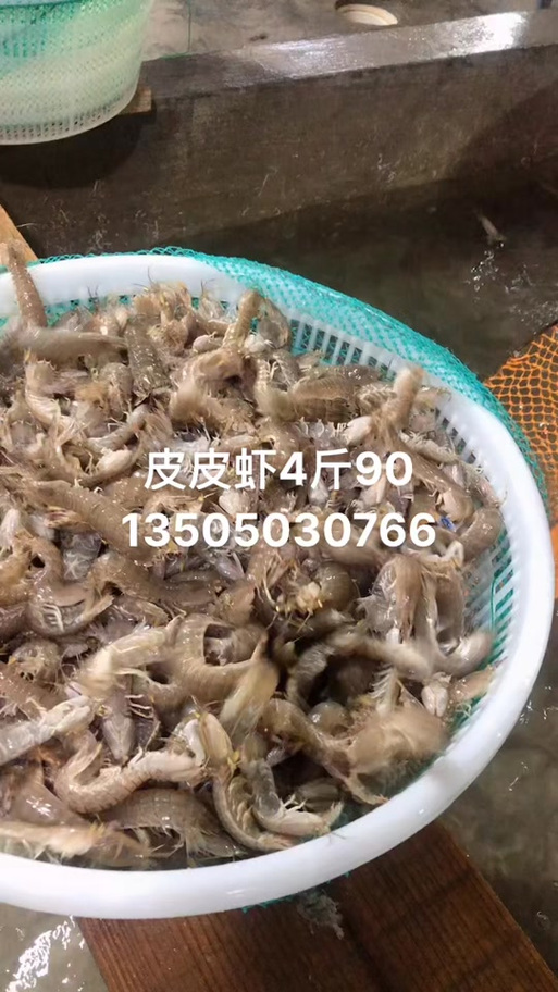 皮皮虾怎么通过手机号加好友