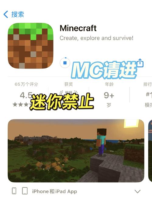 mc连接中止