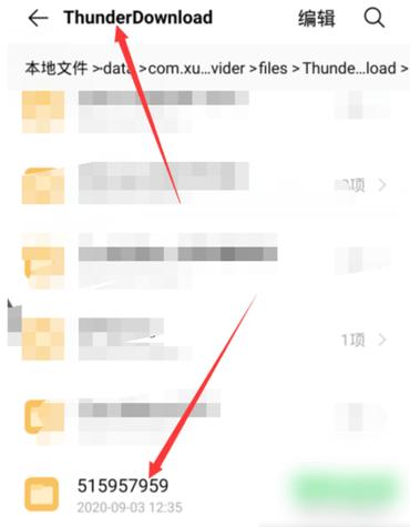 怎么把迅雷的文件转到本地