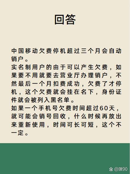 手机停机缴费后多久能恢复正常