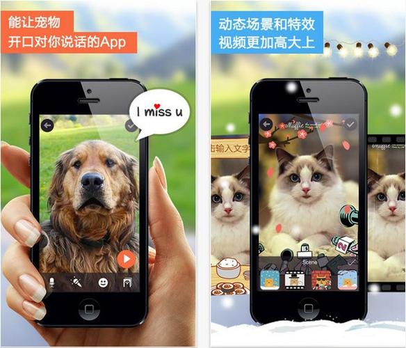 会说话的宠物下载入口