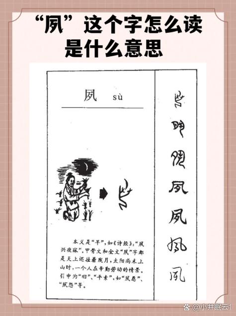 独音是什么意思截图2