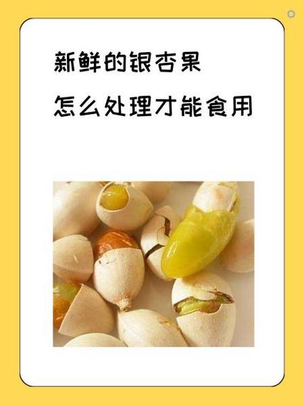 生白果怎么处理才能吃