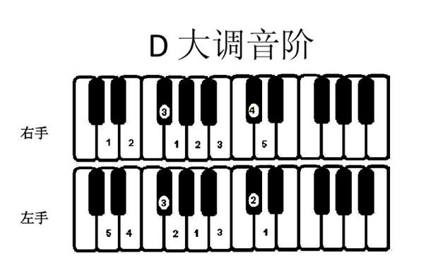 电子琴调12个调图解