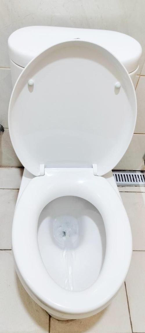 马桶坑内的正确水位截图1