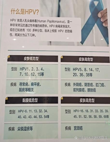 hpv病毒是什么意思