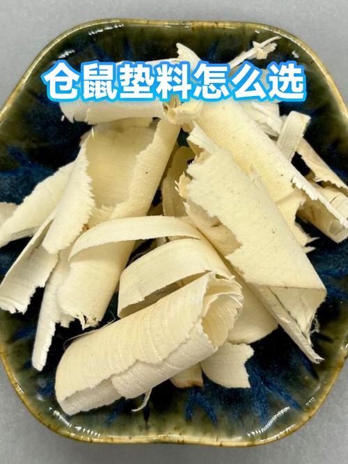 仓鼠夏季用什么垫料好