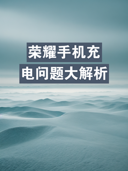 荣耀充电器官网截图2