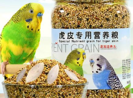 鹦鹉粮多久换一次