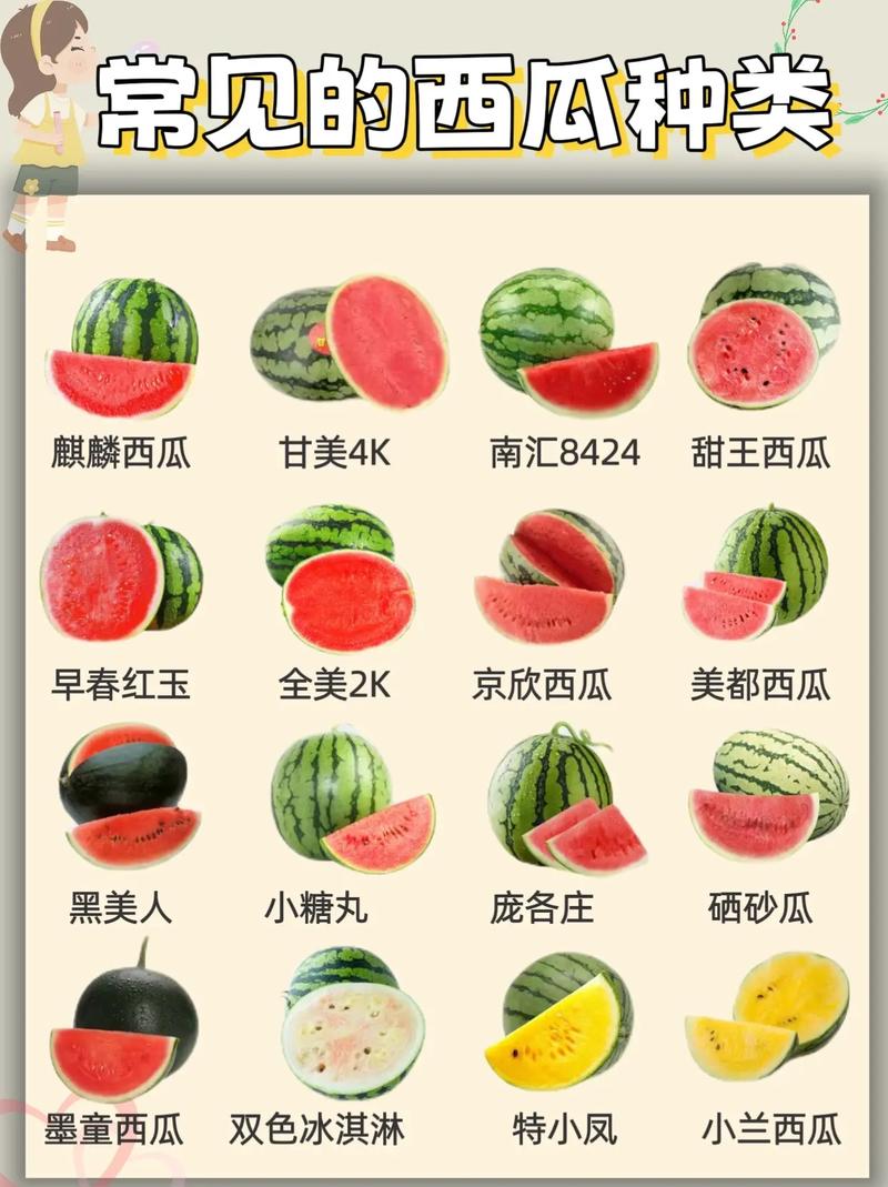 西瓜一般多少钱