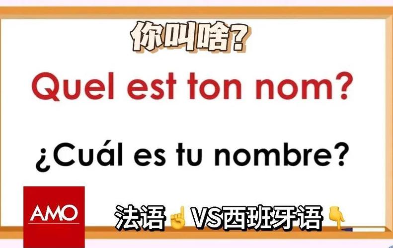 西班牙语和法语哪个更值得学