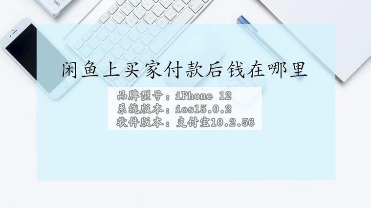 闲鱼显示买家已付款钱到哪里了