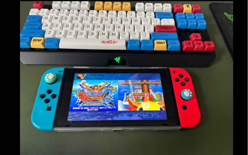 switch正版能玩模拟器吗