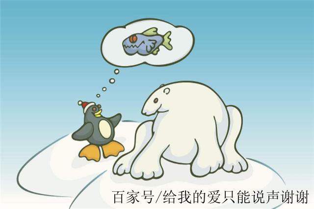 为什么没有南极熊