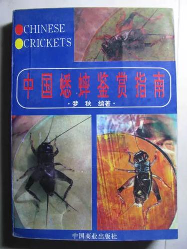家里进蛐蛐怎么赶走