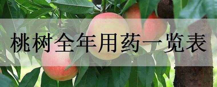 桃树全年用药表截图3