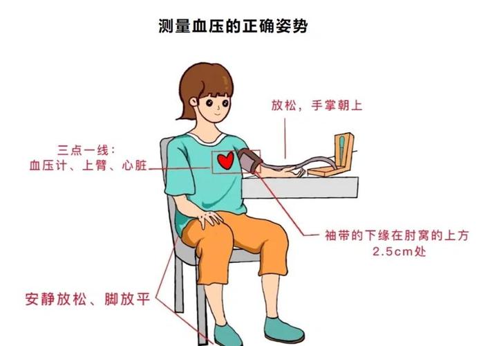 量血压的正确姿势图解