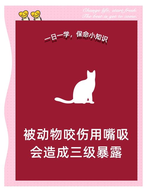 被狐狸咬了要打针吗