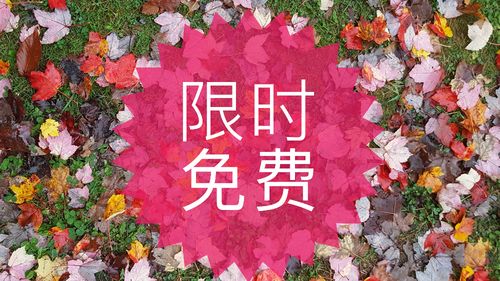 起点新人限免在哪里截图2