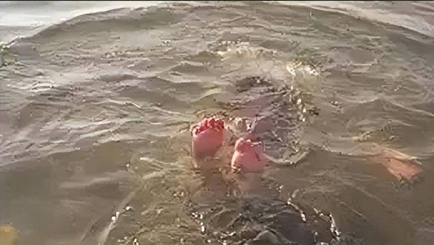 死在大海里会被找到吗
