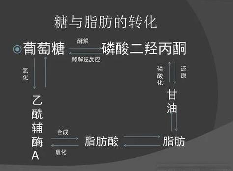 中国白糖三巨头