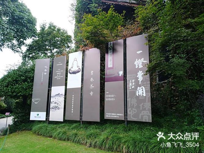 龙井阅读app
