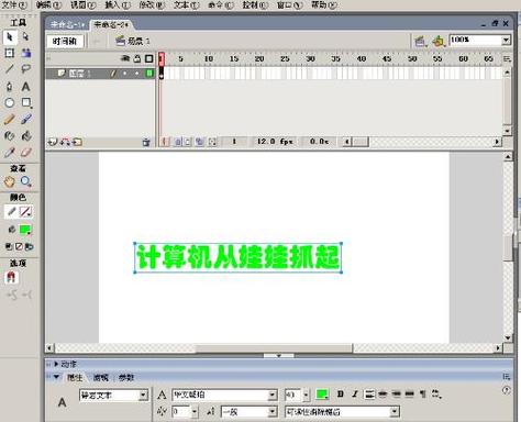 iphone flash插件截图2