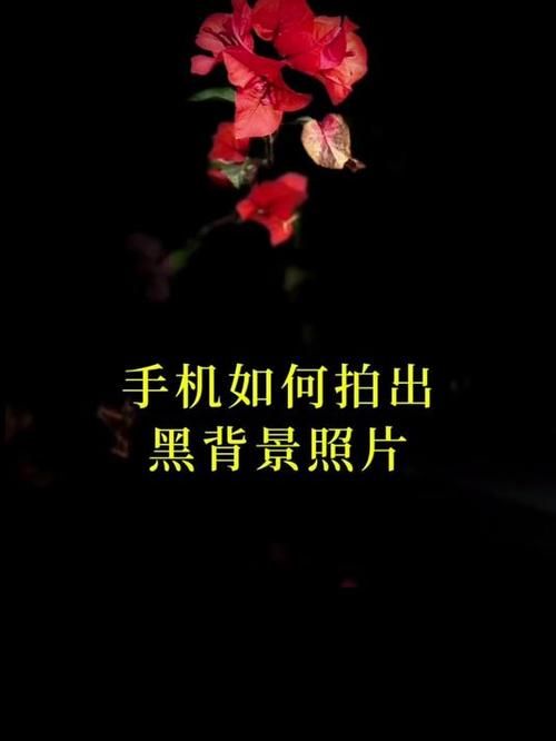 小米手机怎么拍黑背景照片