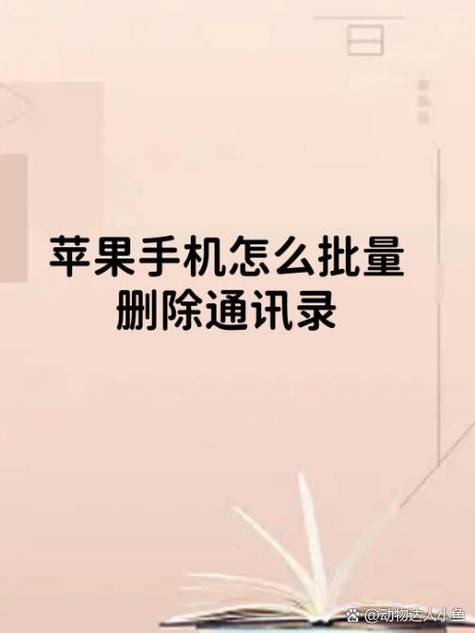 苹果手机删除通讯录
