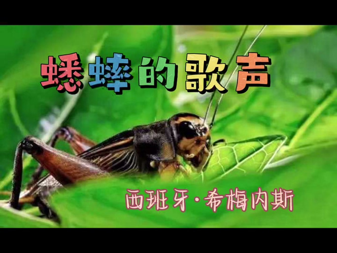 越蟋蟀叫声30分钟