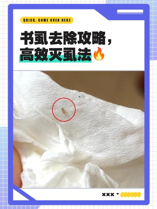 汉字魔法消灭虱子怎么过
