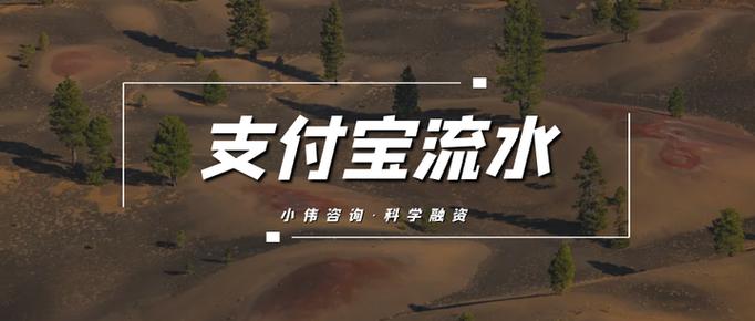 支付宝流水电子档怎么弄