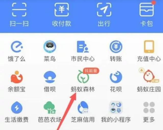 如何不让好友偷蚂蚁森林能量