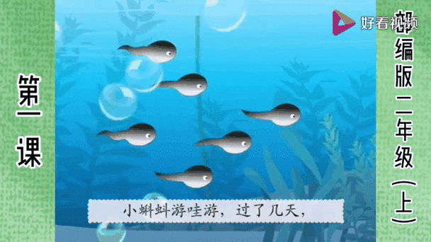 小蝌蚪游动的视频