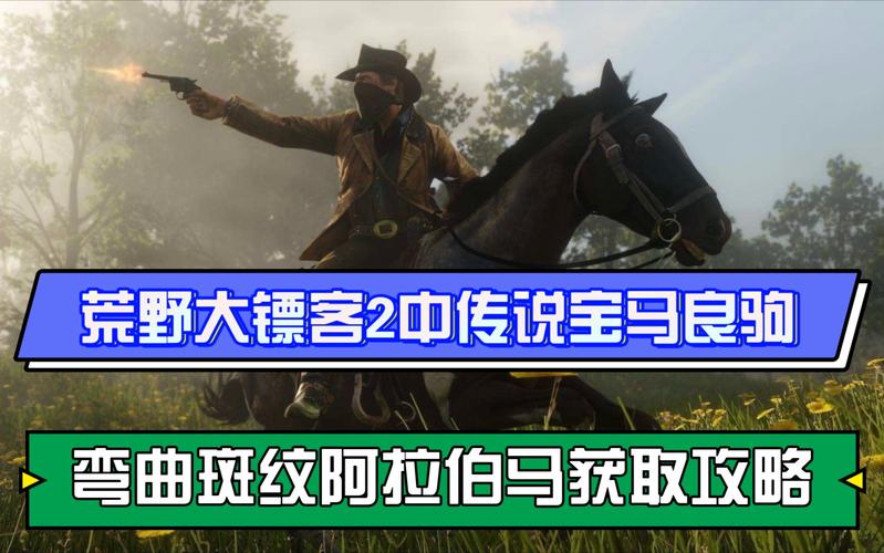 荒野大镖客2哪个地方可以抓到好马