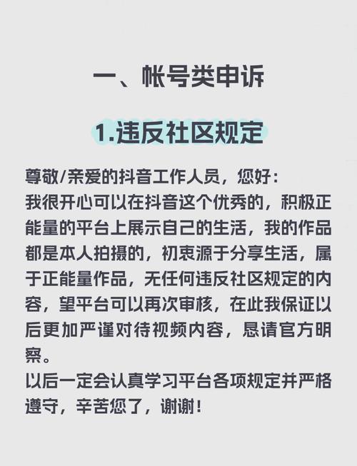 钉钉帐号申诉注意事项