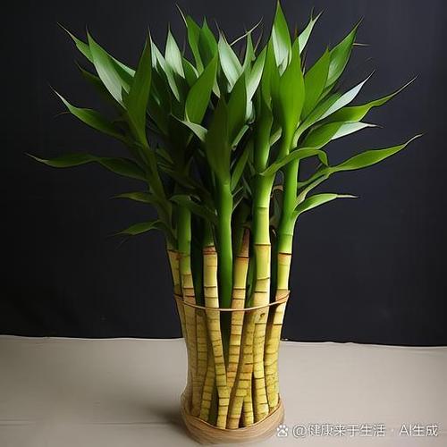 佛堂供富贵竹几支最好