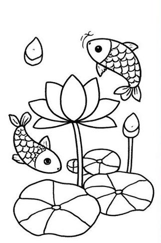 荷花鱼图片大全大图 简笔画
